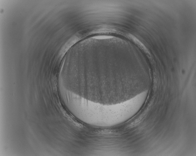 X0000073891329200609082113