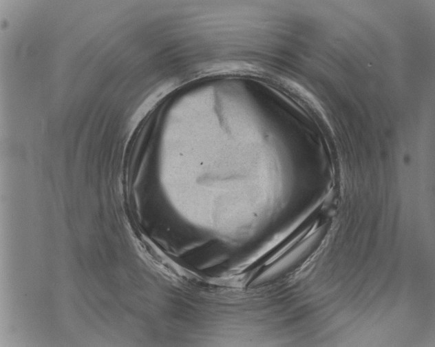 X0000073891330200609082113