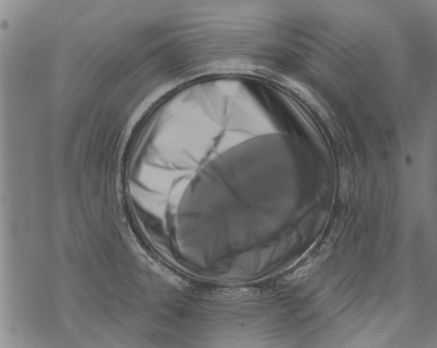 X0000073891331200609082113