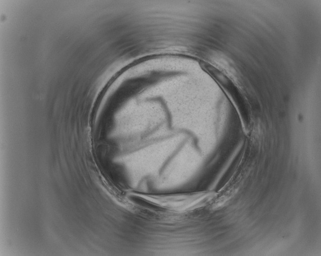 X0000073891332200609082113