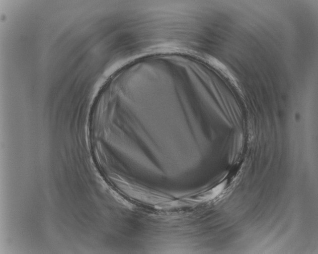 X0000073891334200609082113