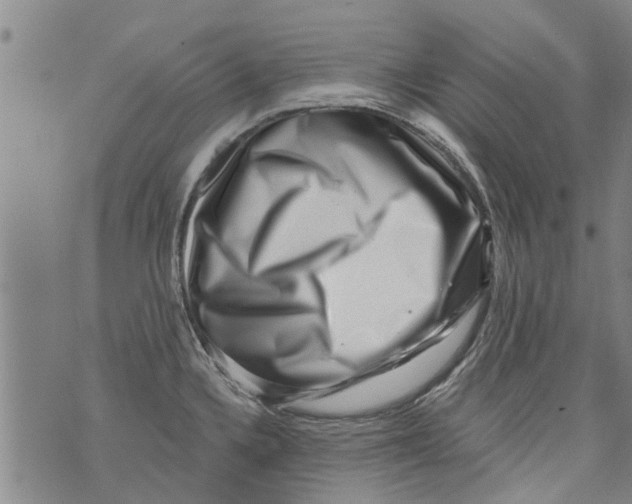 X0000073891336200609082113