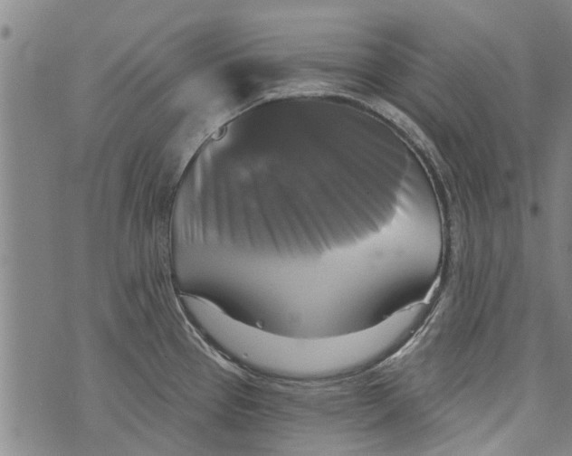 X0000073891337200609082113