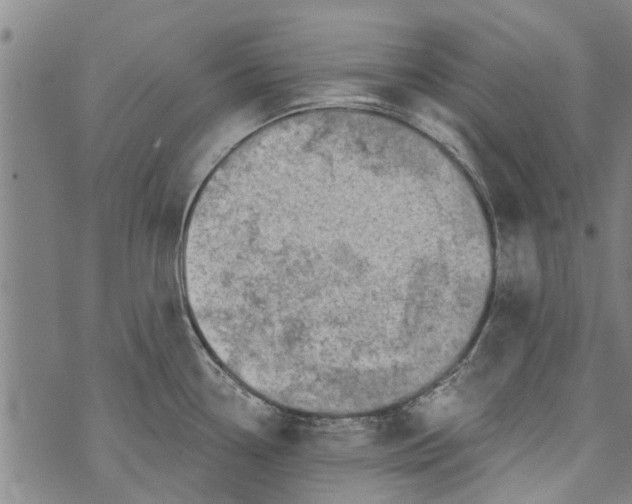 X0000073891338200609082113