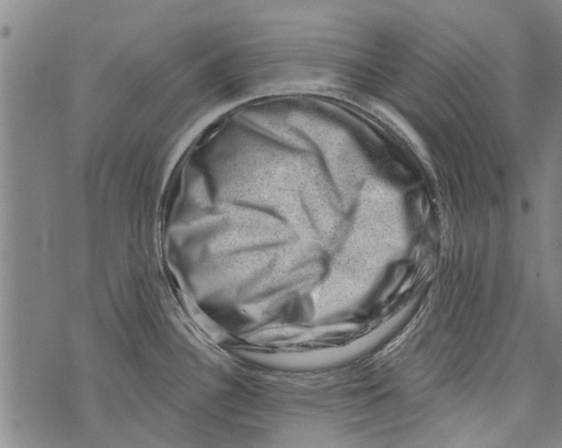 X0000073891340200609082113