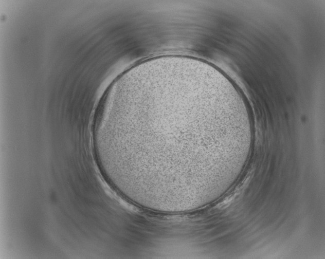 X0000073891341200609082113