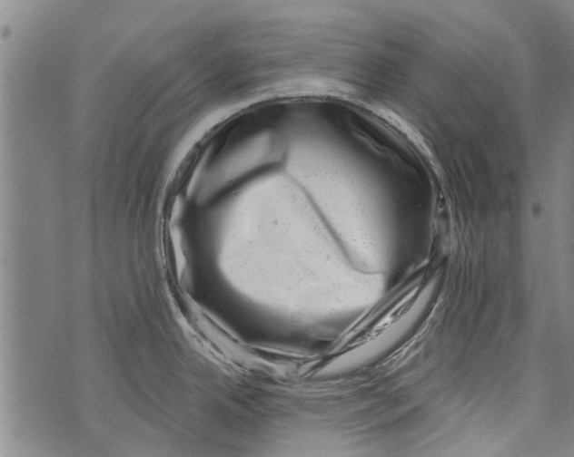 X0000073891342200609082113