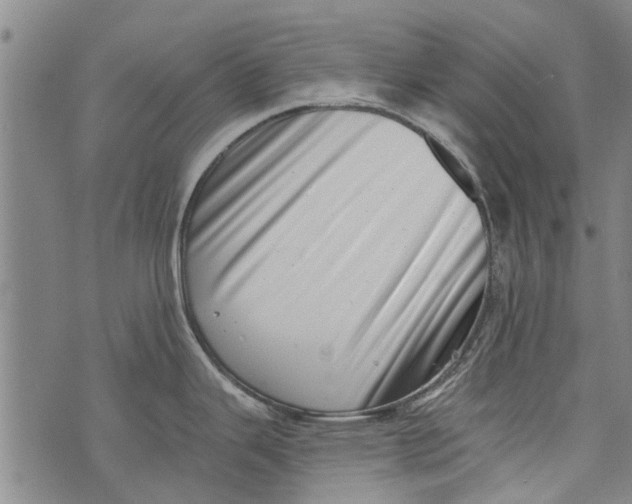 X0000073891343200609082113