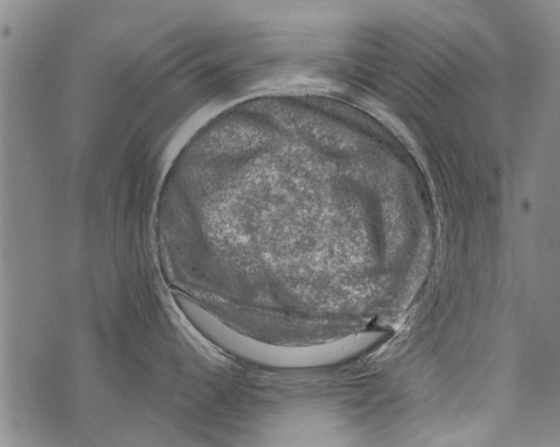 X0000073891344200609082113