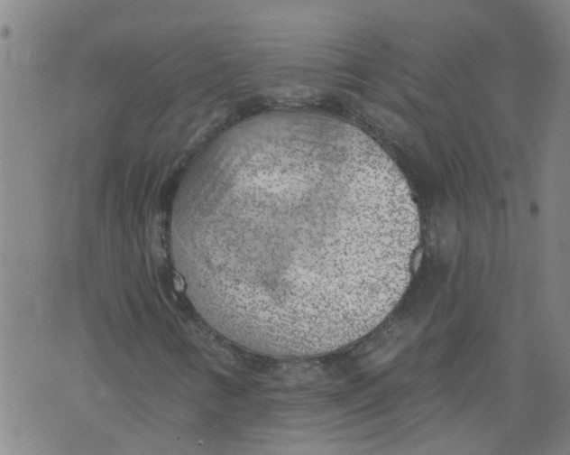 X0000073891346200609082112