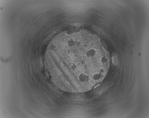 X0000073891347200609082112