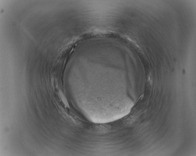 X0000073891348200609082112