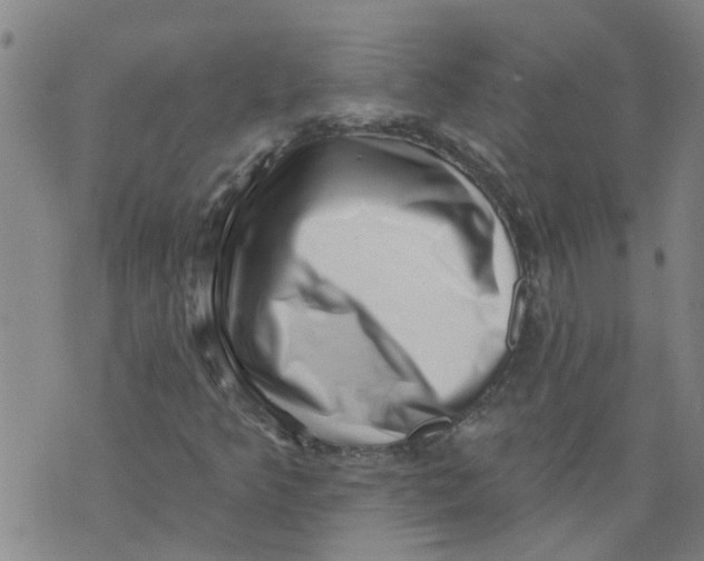 X0000073891349200609082112