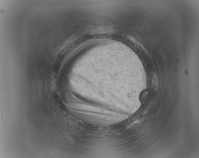 X0000073891350200609082112