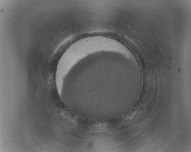 X0000073891351200609082112