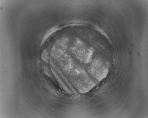 X0000073891352200609082112