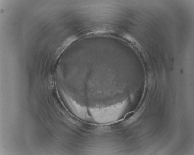 X0000073891353200609082112