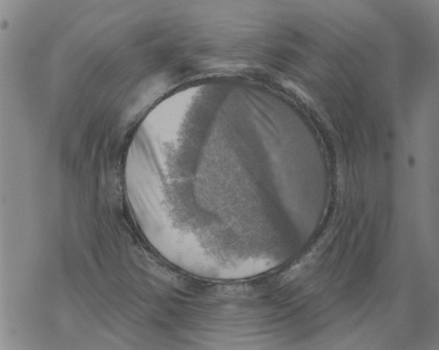 X0000073891354200609082112