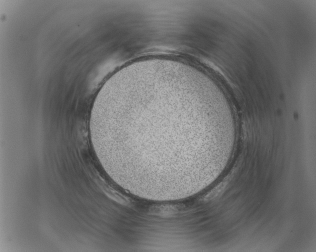 X0000073891355200609082112