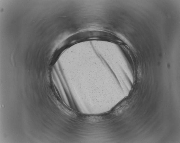 X0000073891356200609082112