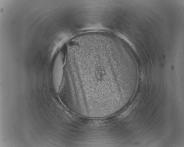 X0000073891357200609082112