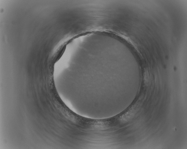 X0000073891359200609082112