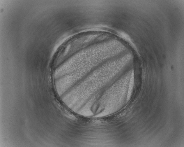 X0000073891360200609082112