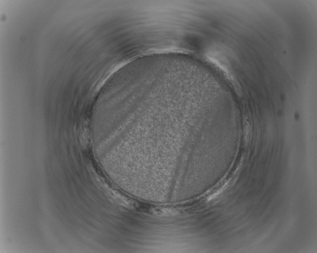 X0000073891361200609082112