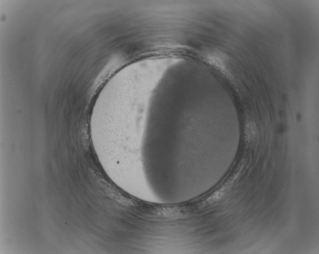 X0000073891362200609082112