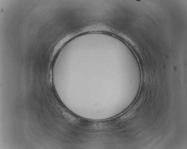 X0000073891366200609082112