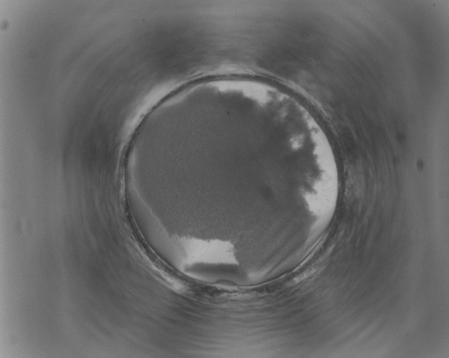 X0000073891367200609082112