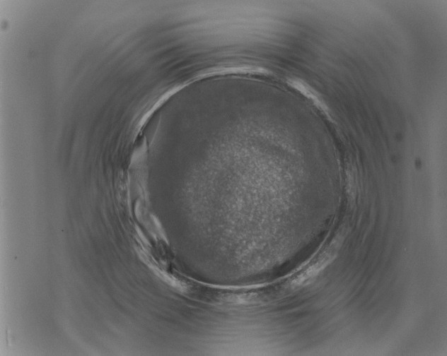 X0000073891369200609082112