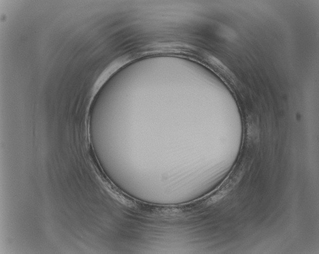 X0000073891370200609082112