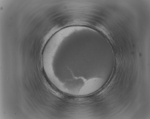 X0000073891371200609082112