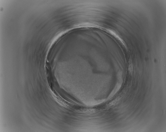 X0000073891372200609082112