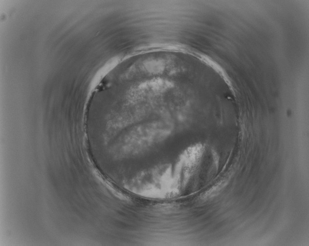 X0000073891373200609082112