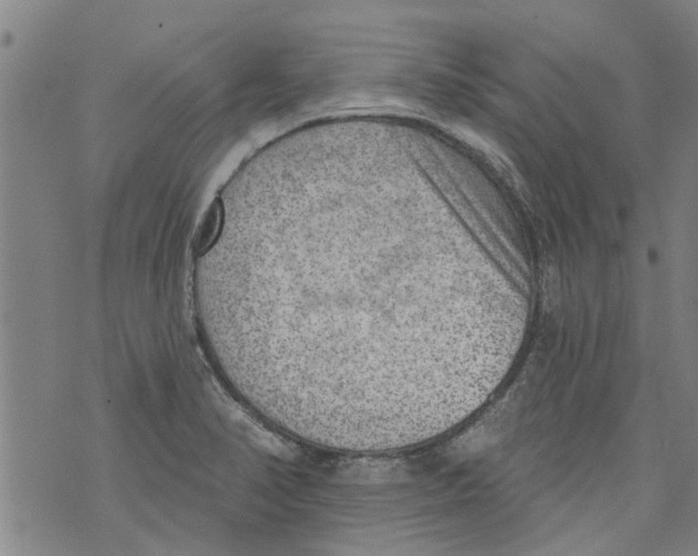 X0000073891374200609082112