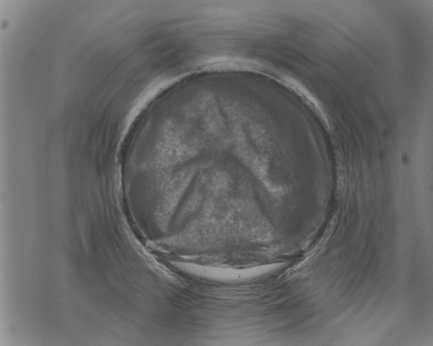 X0000073891376200609082112