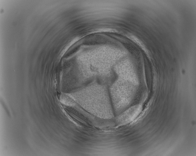 X0000073891377200609082112