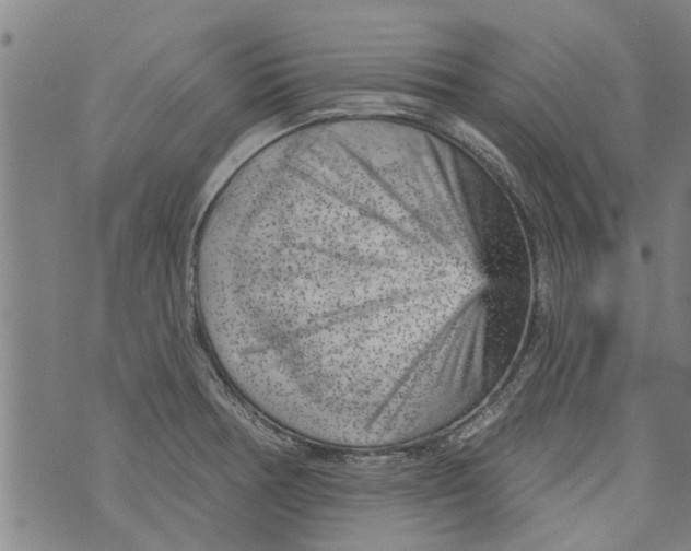 X0000073891378200609082112