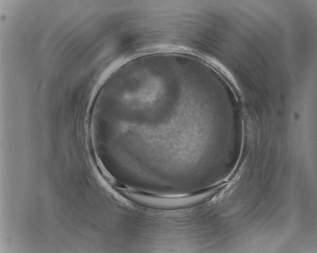 X0000073891381200609082112