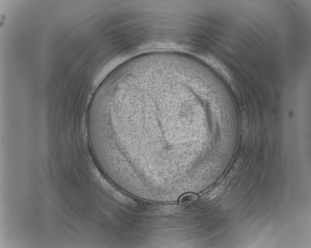 X0000073891382200609082112