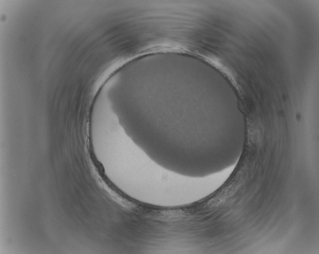 X0000073891383200609082112