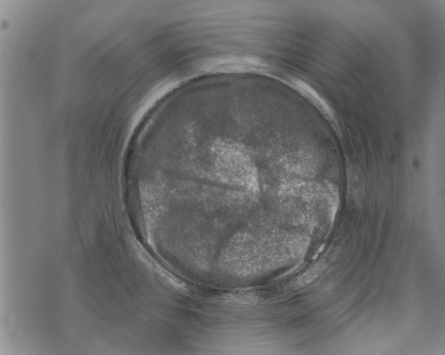 X0000073891384200609082112