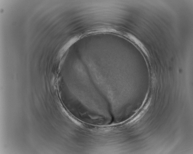 X0000073891385200609082112