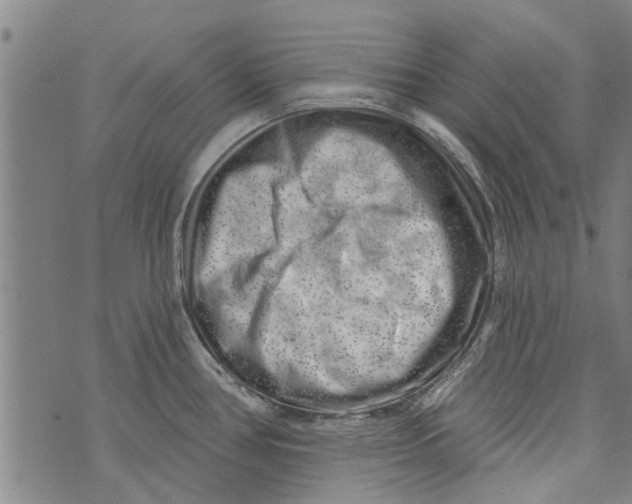 X0000073891386200609082112