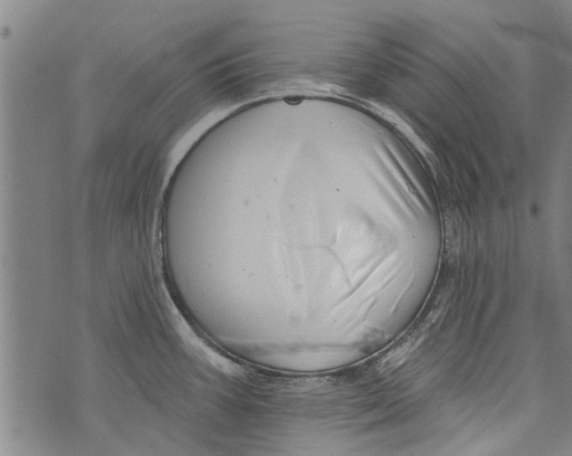 X0000073891387200609082112