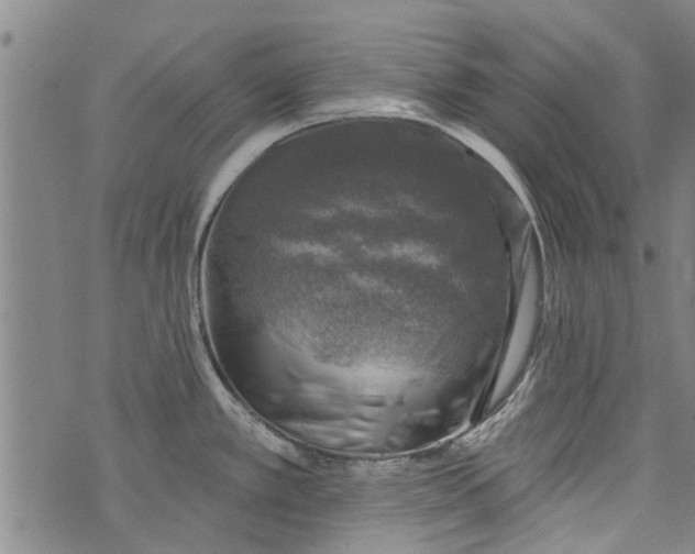 X0000073891389200609082112