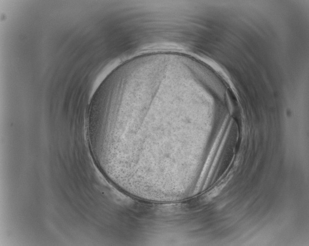 X0000073891390200609082112