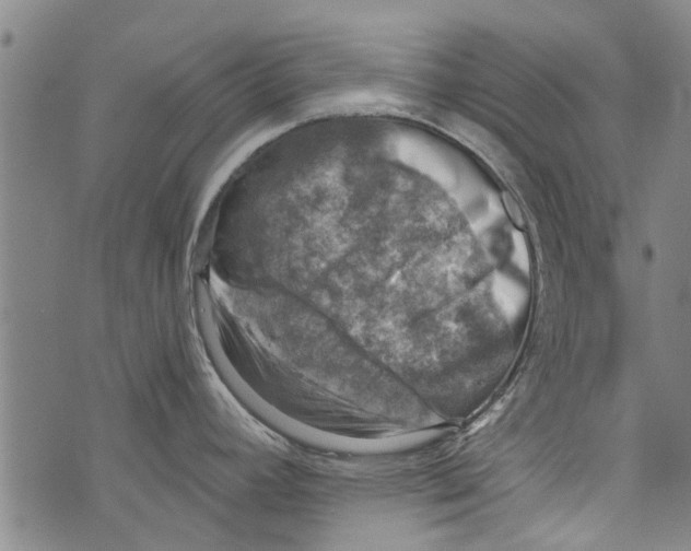 X0000073891392200609082112